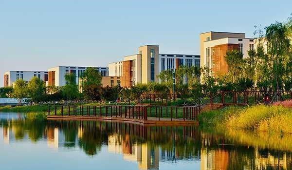 宁波将筹建"东方理工大学" 已在镇海区选址