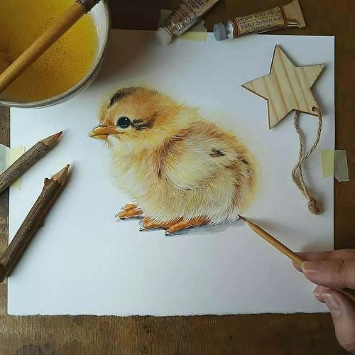 动物彩铅画欣赏