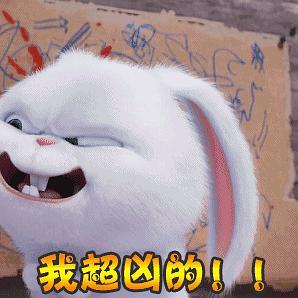 氵爱宠大机密表情包