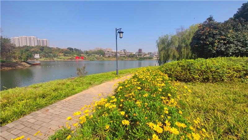 惠游湖北打卡东西湖码头潭文化遗址公园
