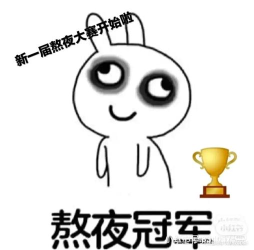 新一届熬夜冠军争夺赛比赛开始 !