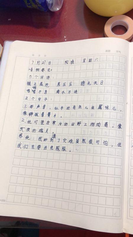 郭真语第二期作业,课外书摘录,感受,写字练习,日记两个,作文一个,古诗