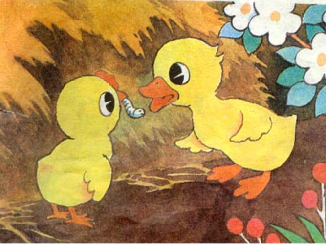 《小公鸡和小鸭子》课件.ppt