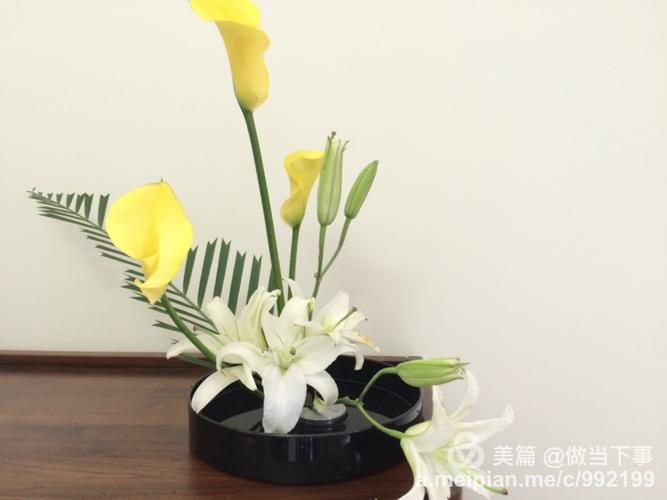 马蹄莲,白百合,扇尾