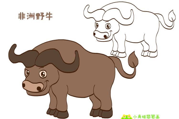 非洲野牛 简笔画