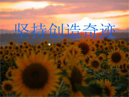 坚持创造奇迹--主题班会4.ppt