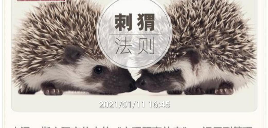 有这样一个有趣的现象 : 在一个寒冷的冬季,两只刺猬因为冷而拥抱一起