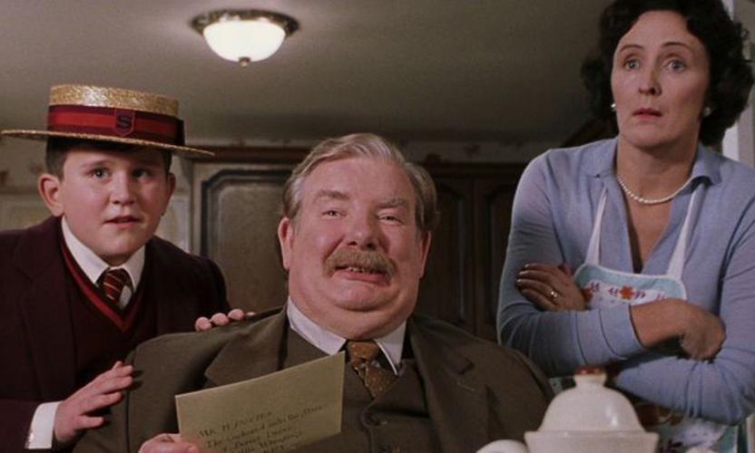 jk rowling finally reveals why the dursleys hated