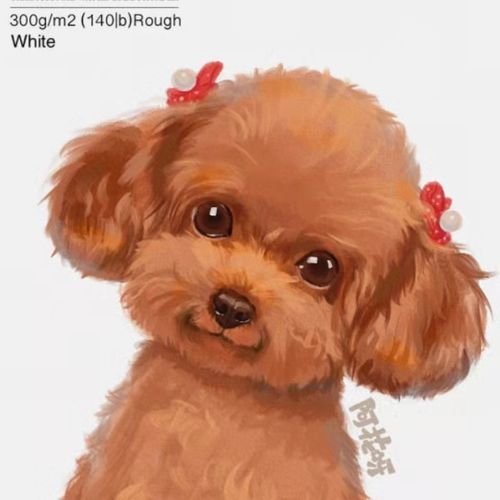 板绘宠物萌宠动物ps 2021插画绘板自学课程教程视频