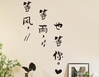 等风,等雨,也等你