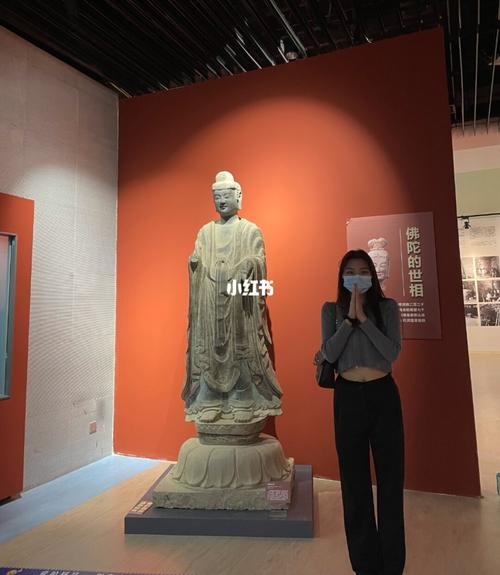 安阳博物馆_博物馆_敦煌_图书馆_口罩_看展_安阳_出行