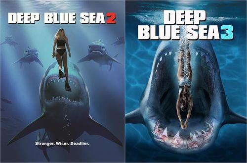 深海狂鲨3大白鲨被牛鲨虐杀又来一部值得一看的鲨鱼电影