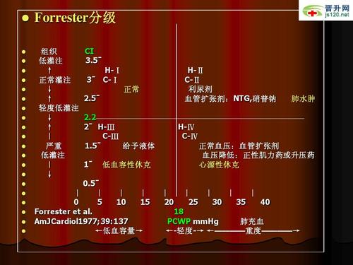 分类 医药卫生 急性心衰诊断和治疗指南ppt  学术会议 forrester分级