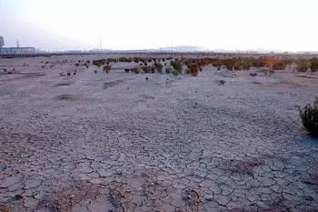 盐 碱土是民间对盐土和碱土的统称.土壤中含盐量在0.1%-0.