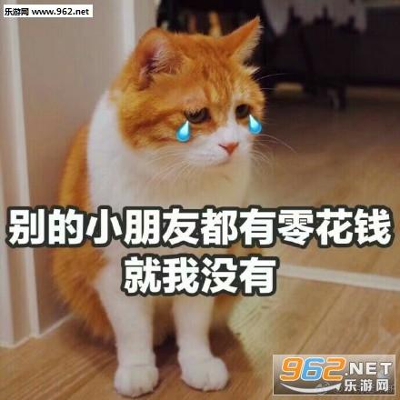 双十一快到了您的小可爱想要一点零花钱表情包
