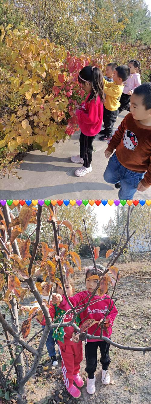 西里幼儿园《秋天的图画》主题活动 - 美篇