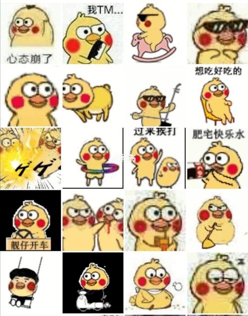 小黄鸡表情包_表情包_我最爱的表情包_素材_表情包