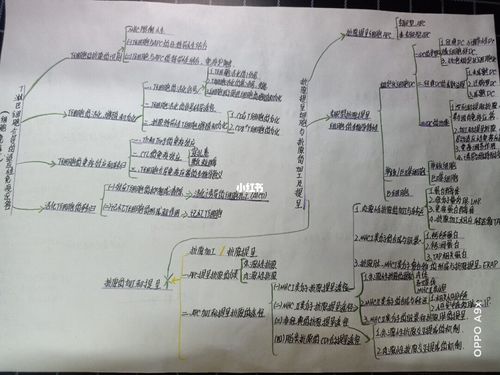 免疫学思维导图!_教育_教育其他