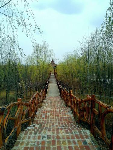 兰州新区梅园生态园