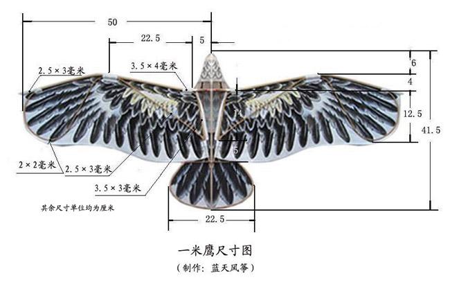 转载鹰友最近做的1米盘鹰附鹰尺寸图