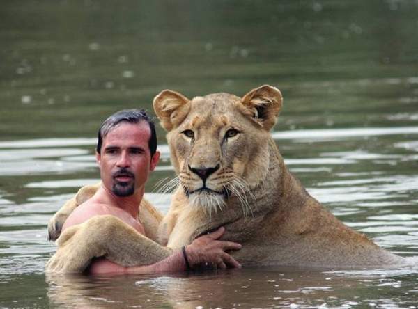 新闻 正文  图中的男子名叫kevin richardson,是南非的一位动物行为学