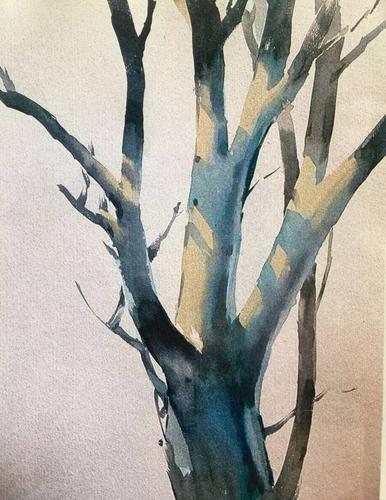 水彩教程 | 树木的分解教程,如何画出有骨气的树