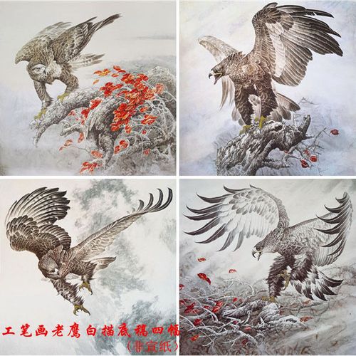 工笔画白描底稿老鹰白描稿实物打印国画动物花鸟线描
