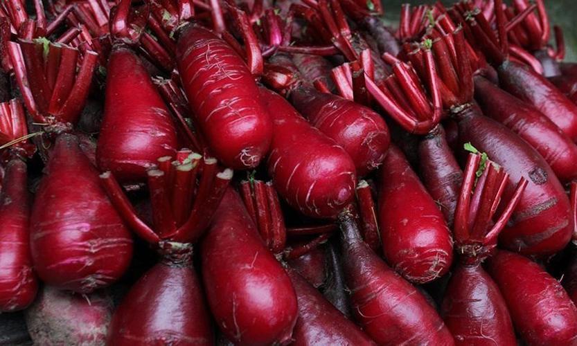 胭脂萝卜是涪陵特有萝卜品种,在涪陵培育种植历史已有数百年.