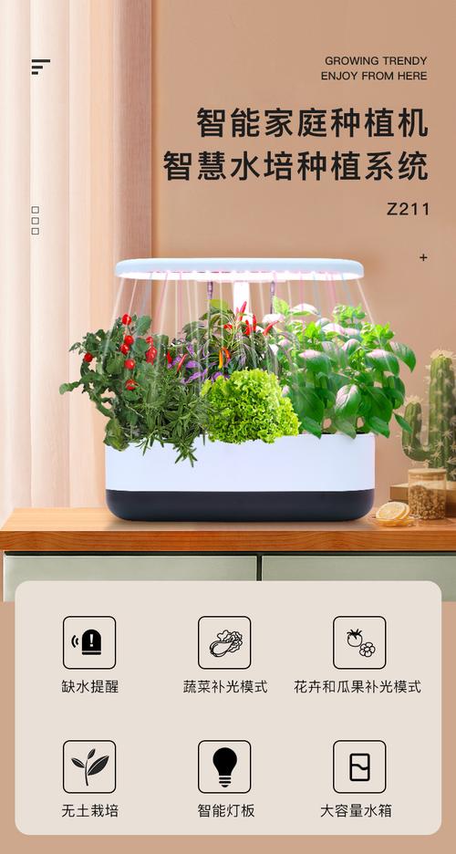 跨境出口种植机种菜机z211 室内 亚马逊新款园艺水培花盆