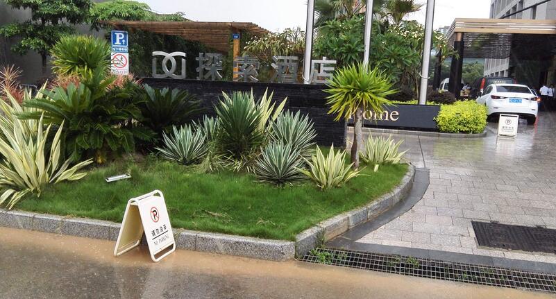 三门峡绿化怎么选,绿化养护哪家质量好