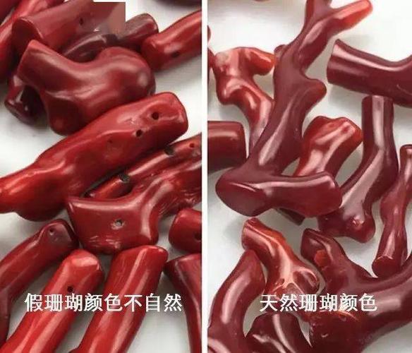 揪出珊瑚中的"李鬼",最详细的珊瑚真假对比图