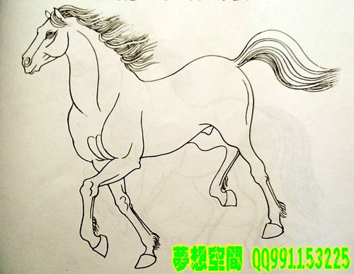 马的画法 (三)