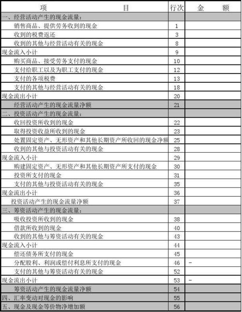 空白现金流量表