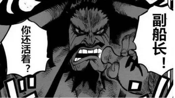 布鲁克离开草帽团,凯多一句副船长令人震惊,怪不得那么了解大妈