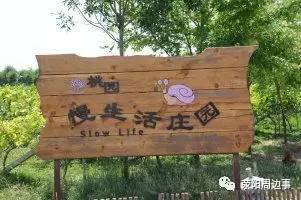 看清了!荥阳这11家"农家乐"都带星