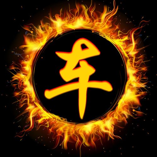 编号1501,霸气火焰圈,33个姓氏-微信头像,百家姓氏