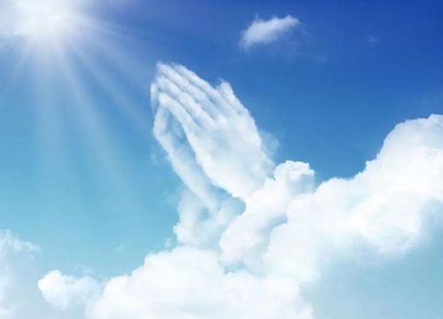 心若向阳,无畏悲伤.8,总有人离开,总有人到来.