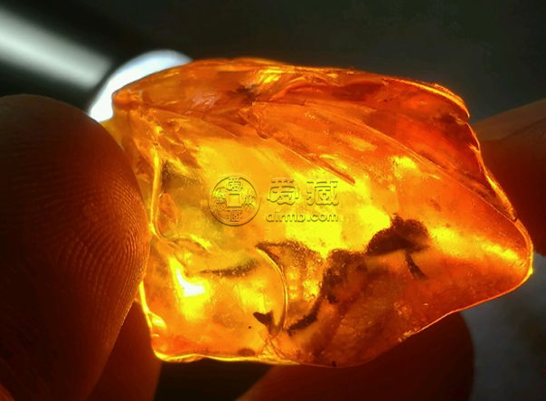 真正的天然琥珀图片 真正的天然琥珀多少钱一克