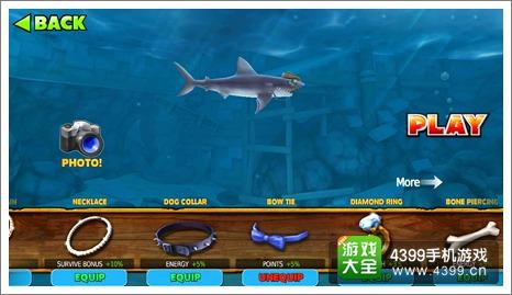 饥饿鲨进化顺序图片带名称