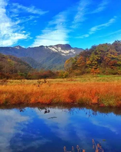 湿地秋色美 大九湖旅游正当时!