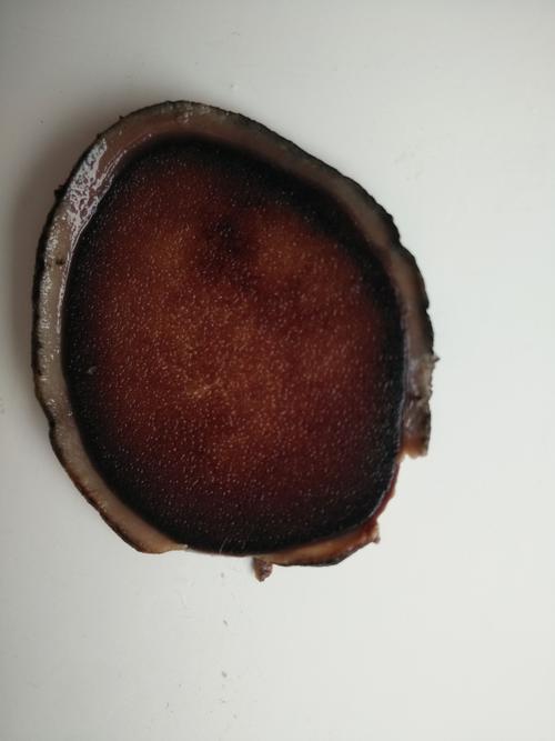 新买的鹿茸片大家帮忙鉴别下真假
