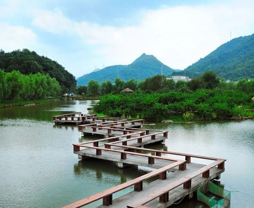 家门口变景区余杭这13个村要火