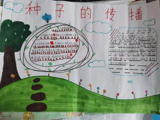 一至六年级搜索有关各种植物种子的传播方式的知识和图片,以手抄报