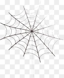 万圣节蜘蛛网图片大全