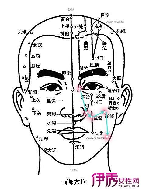 伊秀生活网 健康 / 正文用刮痧板刮面部九条经络能促进血液循环.