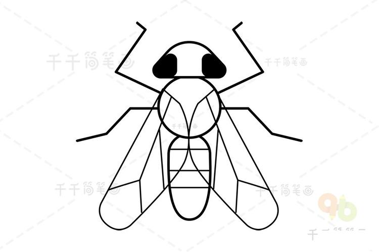 潜叶蝇简笔画怎么画
