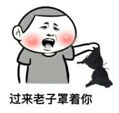 拿着胸罩:过来老子罩着你_金馆长妈蛋表情网md.itlun.cn