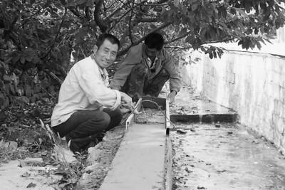 福山区张格庄镇
