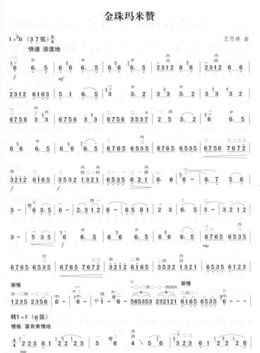 《金珠玛米赞-王竹林(二胡曲谱)》吉他谱