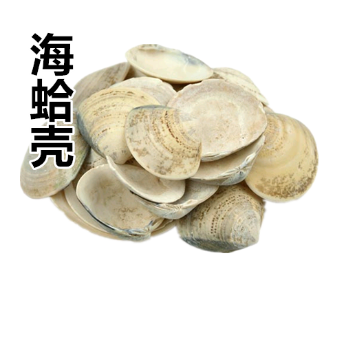 申奥正品中药材 中药材 蛤壳 海蛤壳 海哈壳 500克